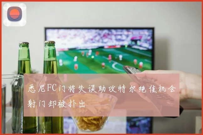 悉尼FC门将失误助攻特尔绝佳机会射门却被扑出